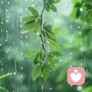 靜待你來的頭像