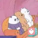 胖胖的瓶子的头像