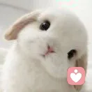 小尾巴的头像