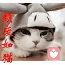 颓废如猫的头像