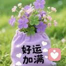 好运加满的头像