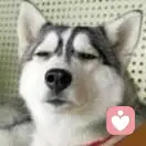 一个字䡨的头像