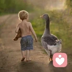 清风眀月的头像