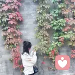 a、爱久见人心_的头像