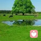 春暖花开的头像