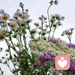 叶落冬生的头像