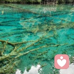 堕落的馒头的头像