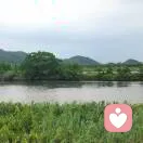 韶华的头像