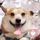 中土大陆第一挂的头像