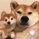 不留遗憾的头像