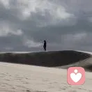 高萍的头像