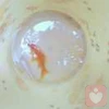 年轻且优秀