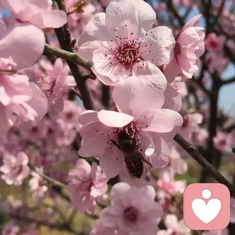 八个策略应对孩子的青春叛逆期