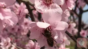 八个策略应对孩子的青春叛逆期