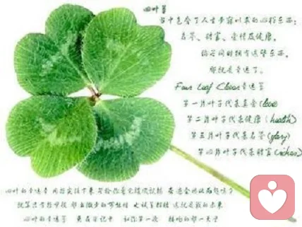 還可以解釋的感情，跟懂或者不懂沒有關系
