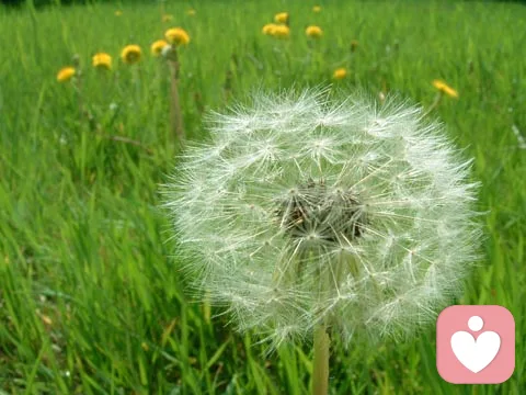 【分享】太愛(ài)競(jìng)爭(zhēng)是一種心理障礙 
