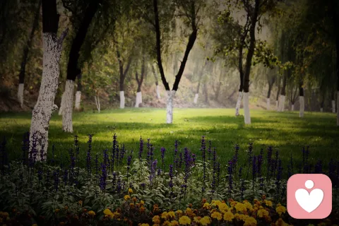 思覺失調(diào)癥