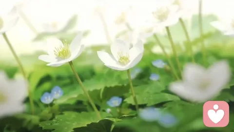 青春期心理問題：識別與應(yīng)對