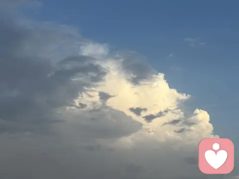 原生家庭：婚戀觀的隱形塑造者