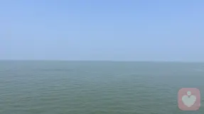 用付出换爱