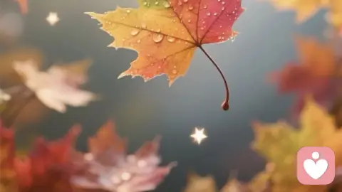过去的风景，不再回望；过去的烦恼，全部清零