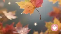 过去的风景，不再回望；过去的烦恼，全部清零
