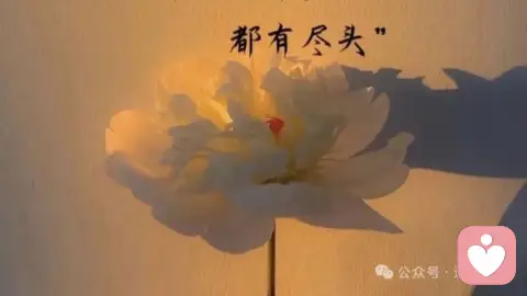 “是生理性喜欢的情侣，才会有这6种反应。”
