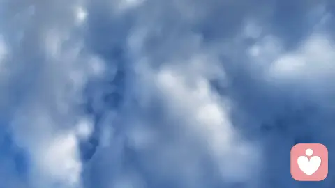 同性