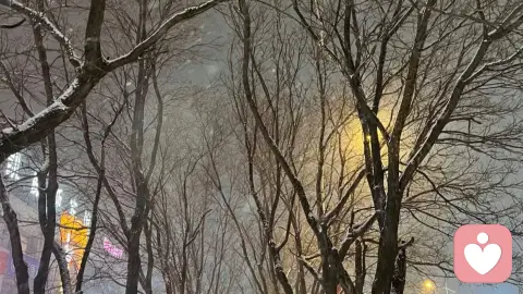 你是否也曾在深夜,感到自己与他人的生活存在着“时差”?