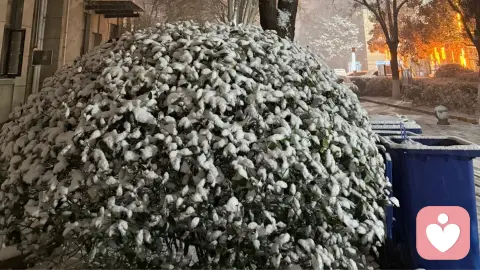 走进恋父情结，理解而非标签