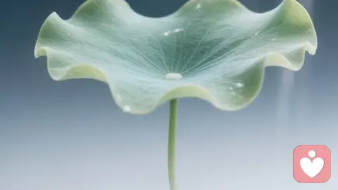 当爱变成笼子：如何应对家庭中的过度控制