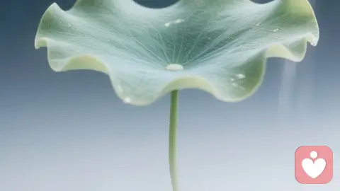 走出原生家庭循环:6个信号提示你需要心理“再分化