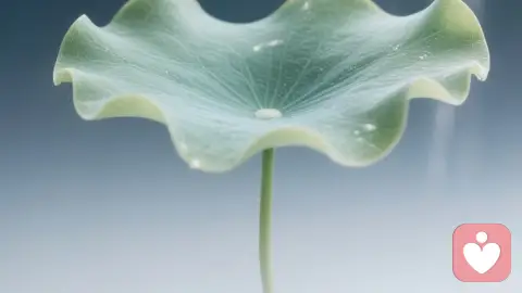 从母亲的眼睛看见爱：如何走出关系的“重复剧本”