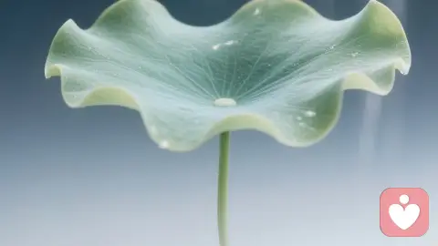 隐形的攻击：警惕你身边的“吹狗哨式”操控