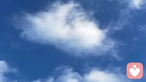 同性