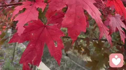 一秒教你嫁对人