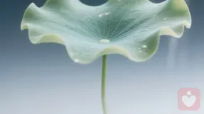 疗愈童年创伤，向内探索的温柔旅程