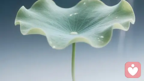 适用性不是天赋,而是策略:重塑个人成长的行动指南