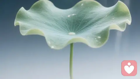 童年校园霸凌导致长期自我否定的心理机制分析