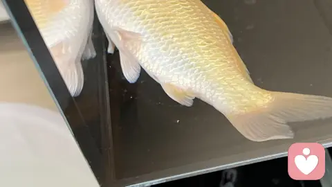 允许自己“趴缸”一会儿