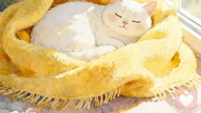 越过情绪的海啸：如何让感受流过你，而非吞没你