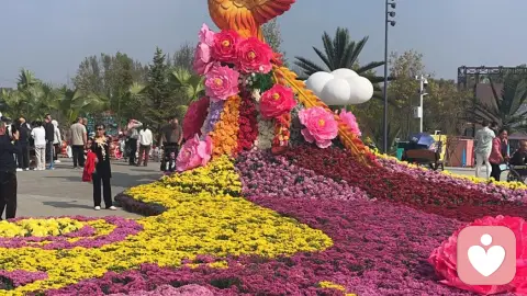 什么样的男人可以嫁