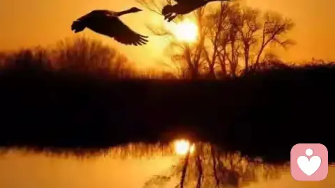 与原生家庭和解：那些过去，是为了让你走向更远的未来