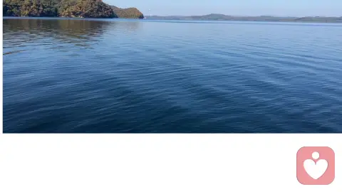 亲密关系中我们付出多少?