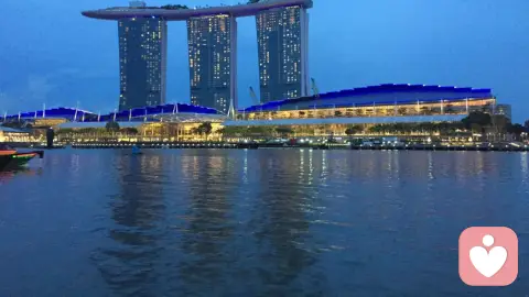 心理学中从理论到应用的多维视角