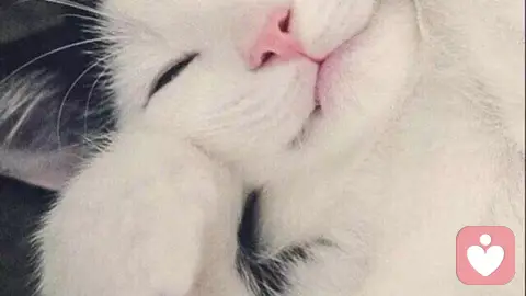 与自己温柔相拥：爱自己是终身浪漫的开始