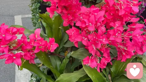 不爱了，请把我的爱还给我，当代年轻人的情感止损宣言