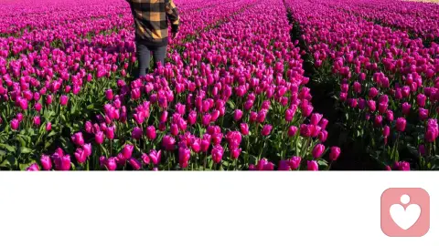 亲密关系如何推进