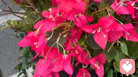 40岁离婚负债，人生最暗时，我才懂没有过不去的坎