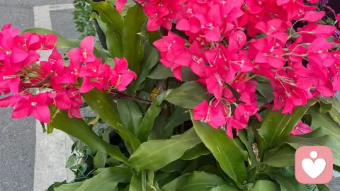 最舒适的两性关系